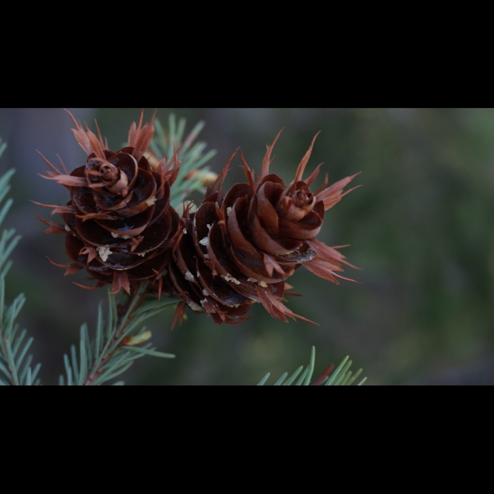 Postcards! - Picture 7 of 8